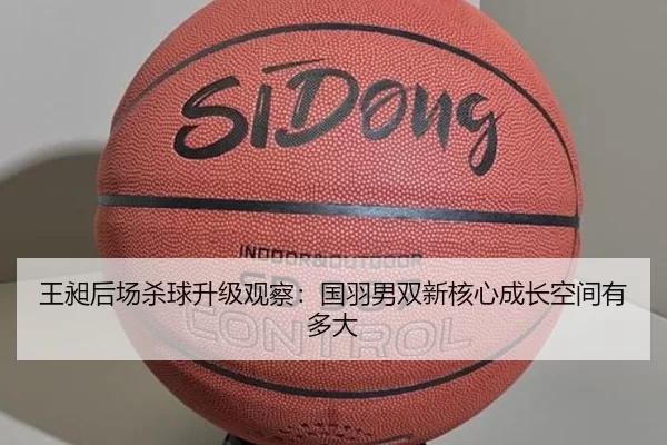王昶后场杀球升级观察：国羽男双新核心成长空间有多大